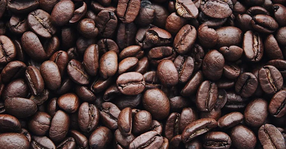Cafeína: O Guia Completo para Aumentar a Energia, Foco e Queima de Gordura