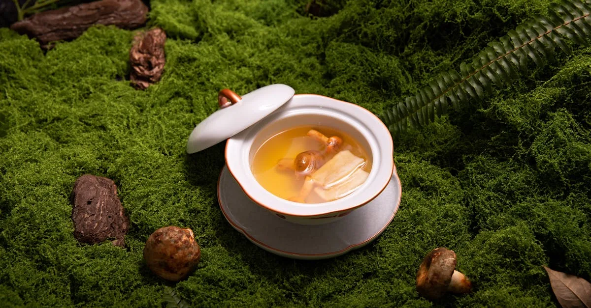 Panax Ginseng: O Guia Completo para Aumentar a Energia, Foco e Vitalidade