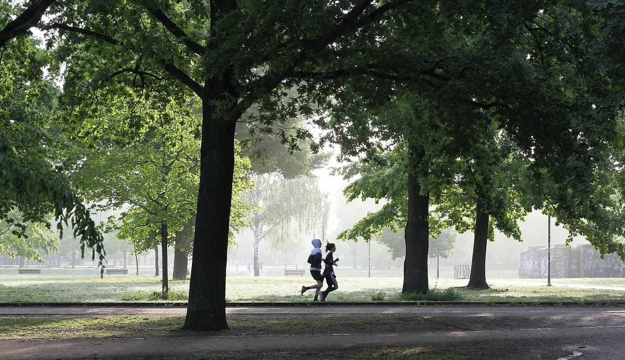 🏃‍♂️ Guia Completo e Otimizado de Suplementos para Prevenção de Lesões em Corredores: Colágeno, Vitamina D e Seus Aliados
